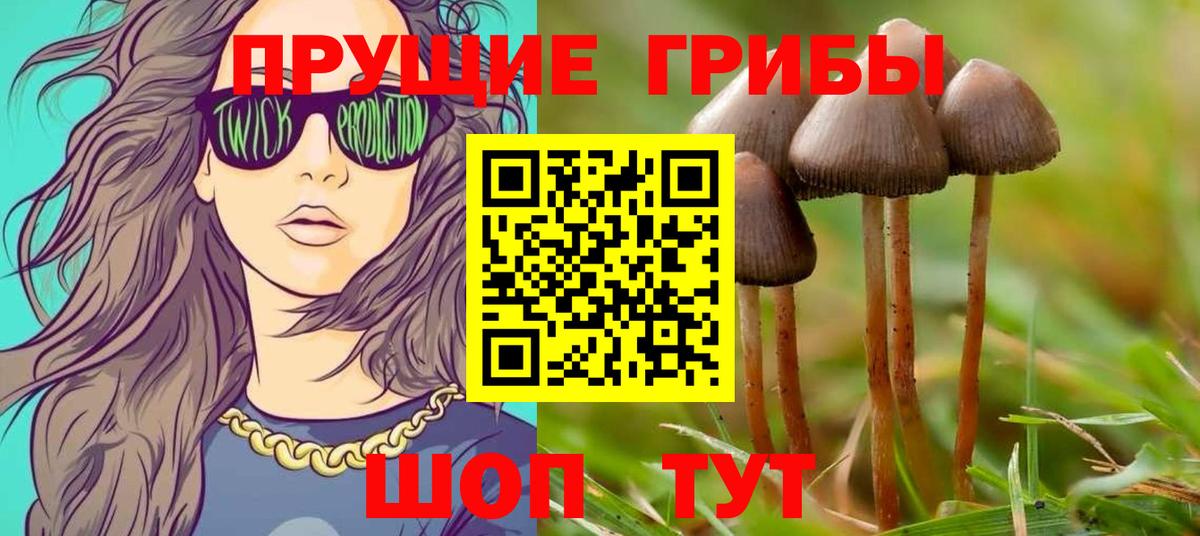 Галлюциногенные грибы ЛСД Лосино-Петровский