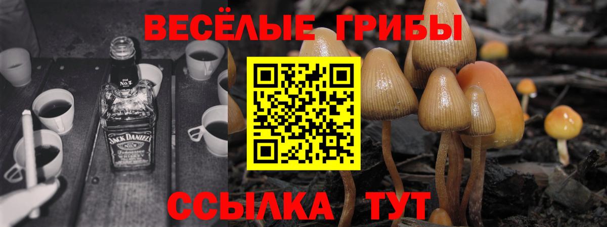 Псилоцибиновые грибы MAGIC MUSHROOMS  Псилоцибиновые грибы прущие грибы  Лосино-Петровский  Вход с VPN 